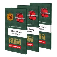 Black Cherry Gushers Cannabis Seeds