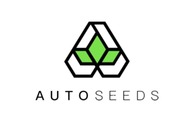 Auto Seeds