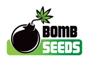 Bomb Seeds Feminised