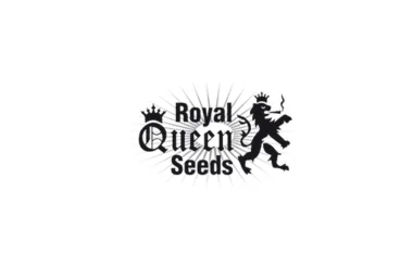 Royal Queen Seeds