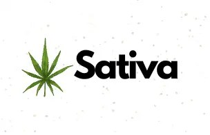 Sativa Cannabis Seeds