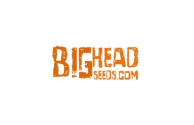 Big Head Seeds