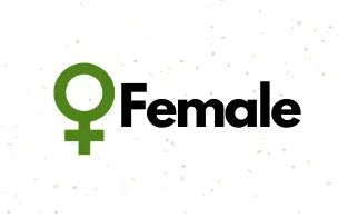 Feminized Cannabis Seeds