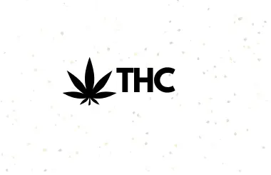 High-THC Cannabis Seeds