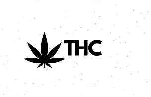 High-THC Cannabis Seeds