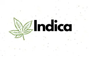 Indica Cannabis Seeds