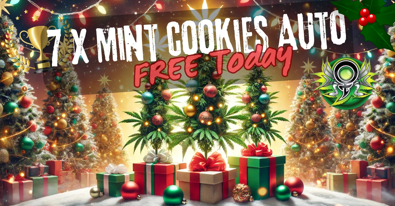 Mint cookies Auto promo